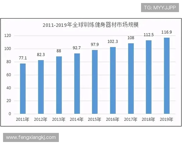 高端健身器材报价行情及市场趋势分析 高端健身器材报价行情及市场趋势分析