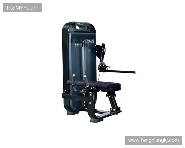 适合练力气的健身器材推荐与解析