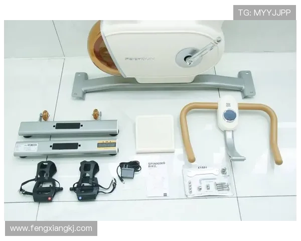 高效燃脂健身器材推荐：家用与商用热门选择对比