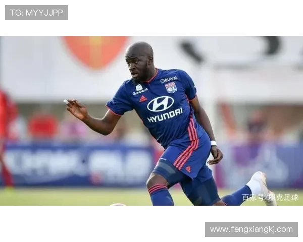 法甲外援表现总结及对球队贡献度评估