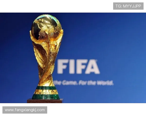 深度解析爱尔兰世界杯阵容与战术前景展望核心球员与晋级希望